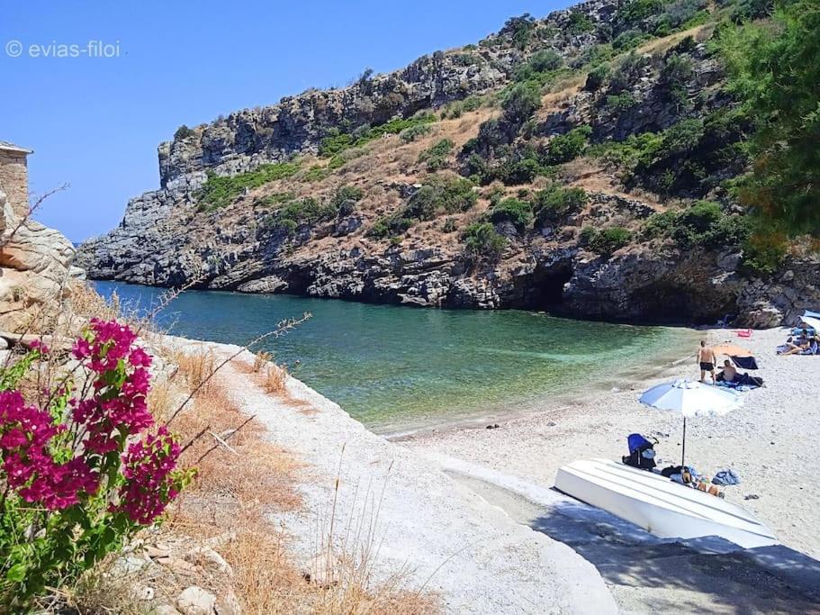 Παραθαλασσιο Σπιτι Στην Εξοχη Villa Tsakei Exterior foto