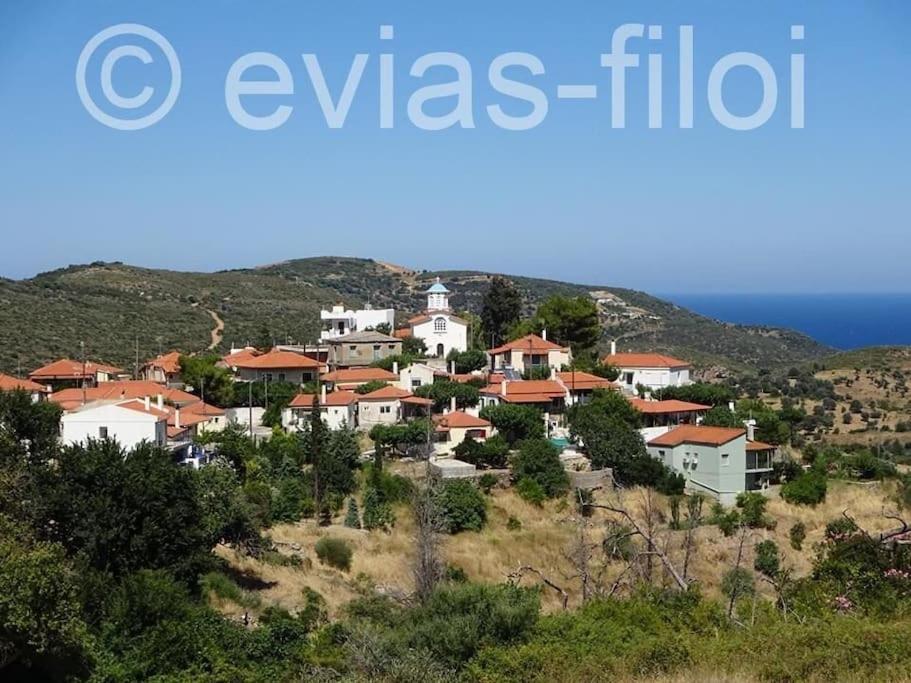 Παραθαλασσιο Σπιτι Στην Εξοχη Villa Tsakei Exterior foto