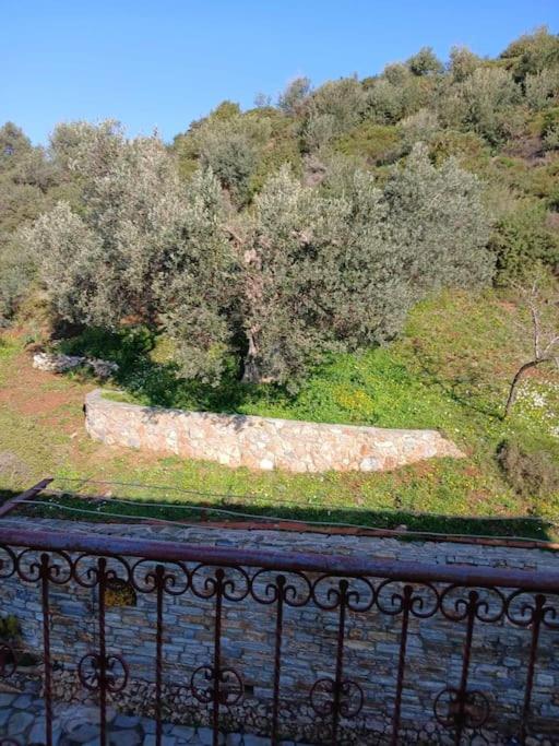 Παραθαλασσιο Σπιτι Στην Εξοχη Villa Tsakei Exterior foto